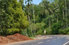 Mangaluru: Foundation laid for concretisation of S L Mathias Road